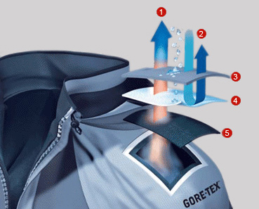 GORE-TEX process showing construction, moisture release and water and wind kept out