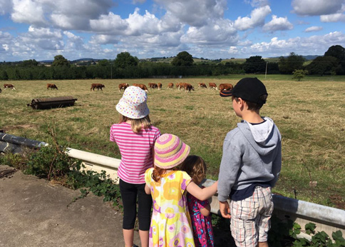 Willow with her cousins on our family farm holiday