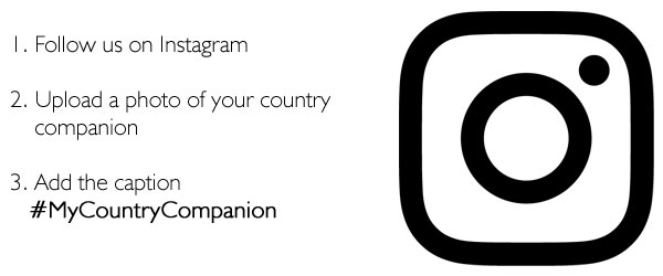 Philip Morris Country Companion Competition | Instagram