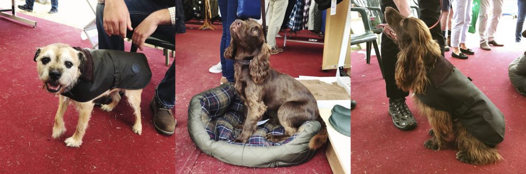 Barbour Dogs
